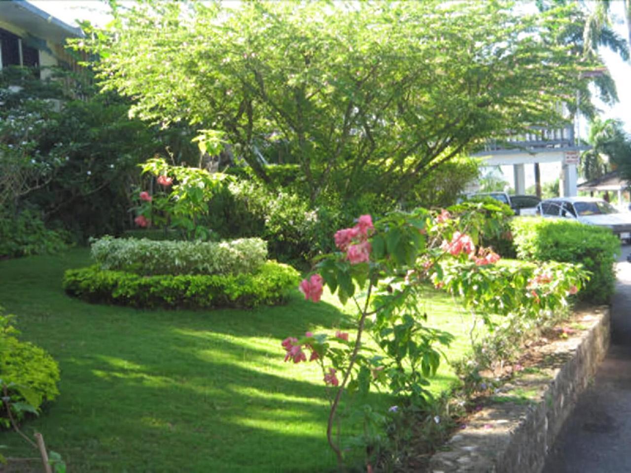 Paradise Brandon Hill Guest House Μοντέγκο Μπέυ Εξωτερικό φωτογραφία