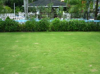 Paradise Brandon Hill Guest House Μοντέγκο Μπέυ Εξωτερικό φωτογραφία